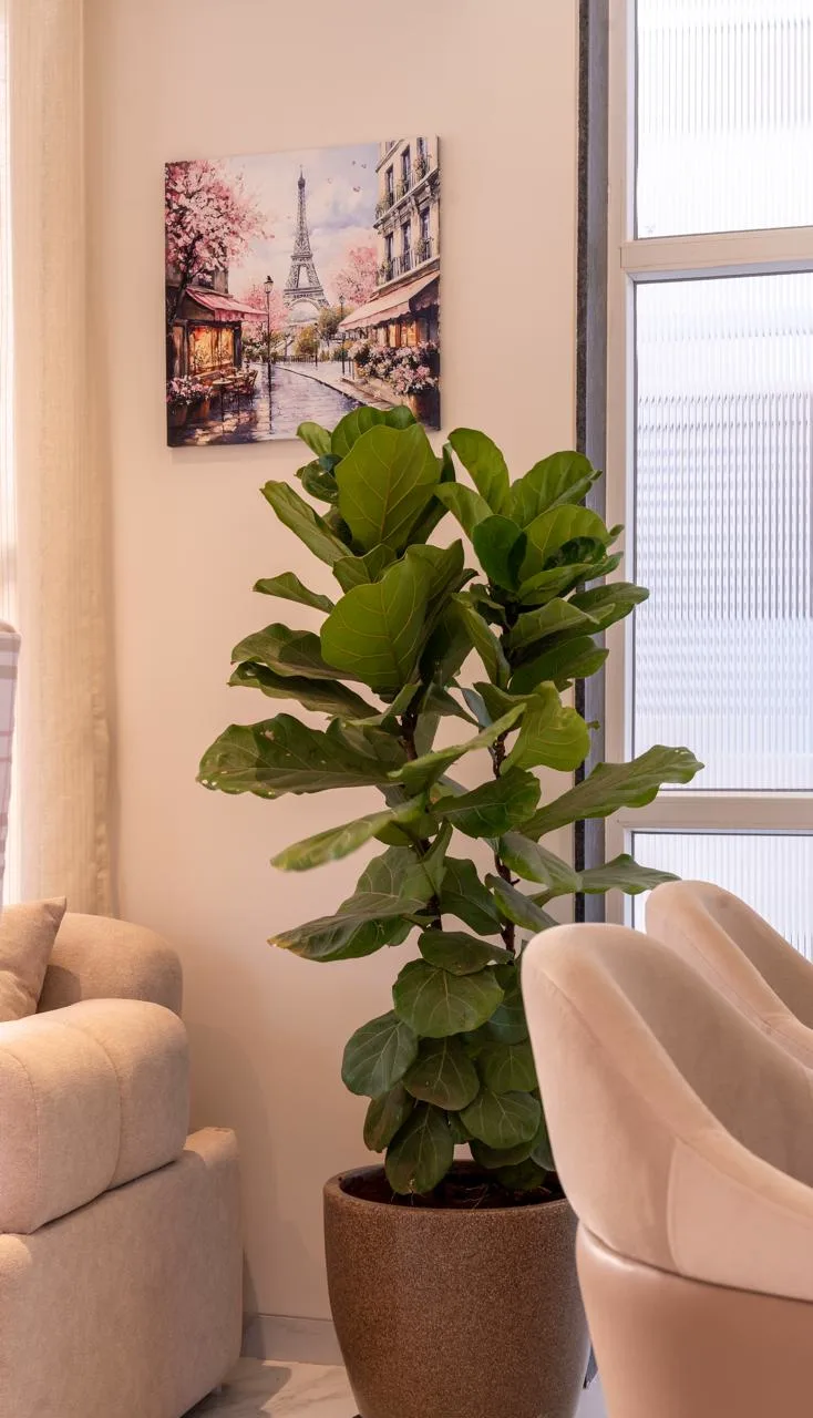 Indoor greenery & planters